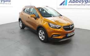 VAUXHALL MOKKA X 2019 (69) at Abbeygate Attleborough