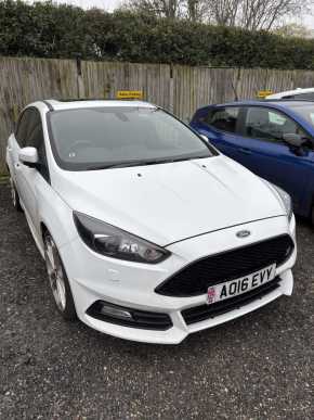 FORD FOCUS at Abbeygate Attleborough
