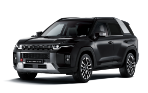 KGM TORRES at Abbeygate Attleborough