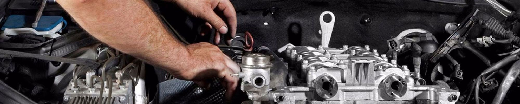 Motor Vehicle Technician